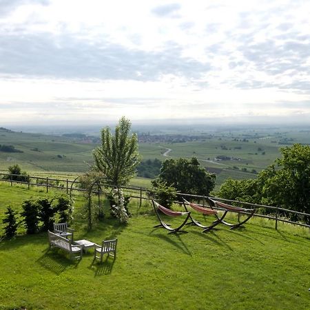 Le Clos Saint-Vincent Ribeauville  Exterior photo